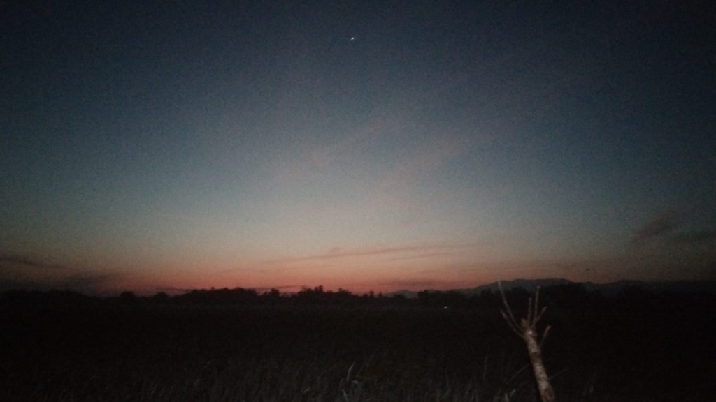 Pemandangan Matahari terbit di area persawahan Gampong Palong