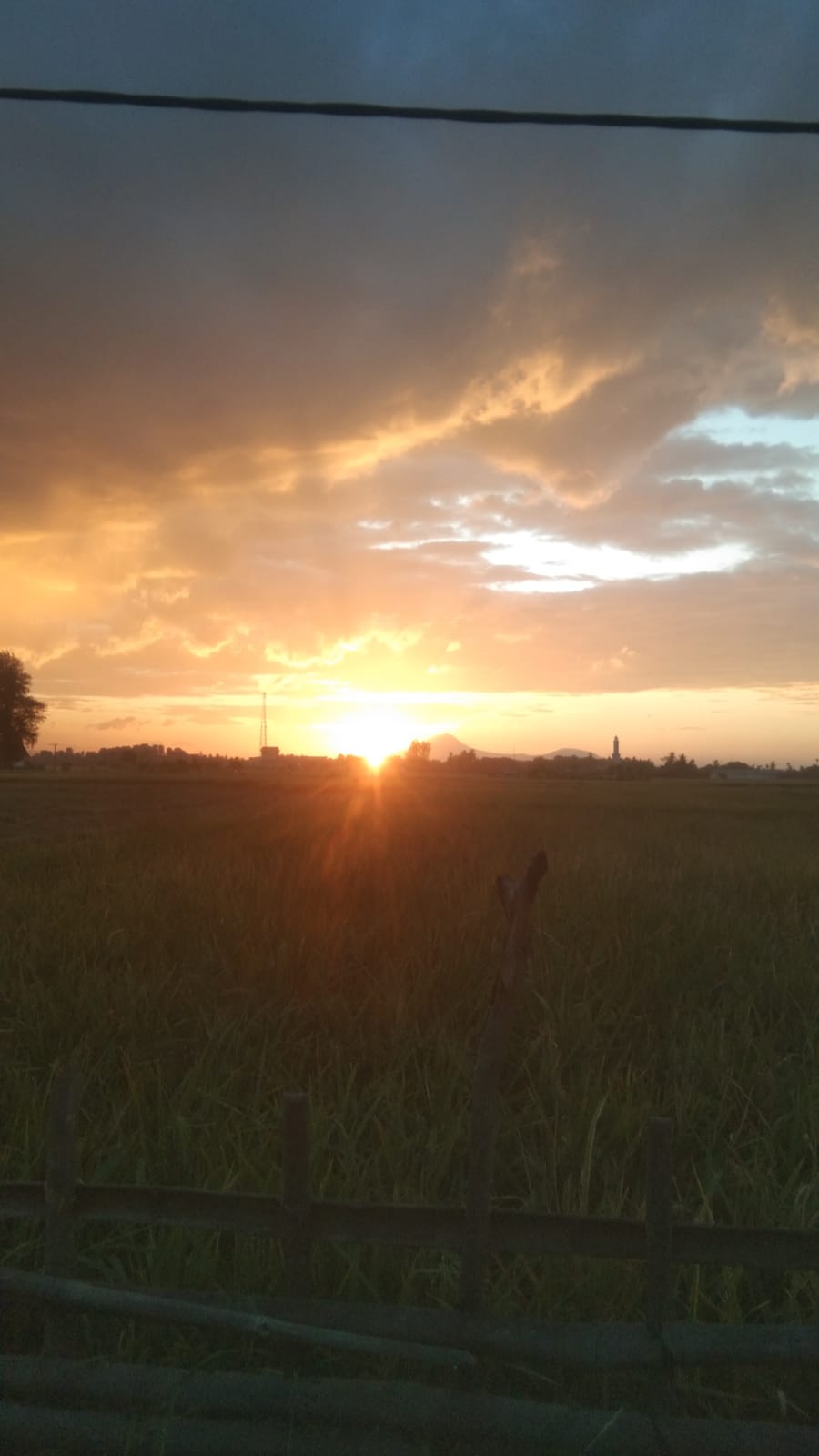 Pemandangan senja yang indah dari daerah persawahan Gampomg Palong